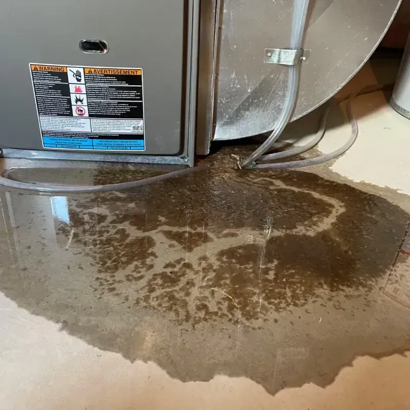 Appliance Leak Cleanup in Yutan, NE